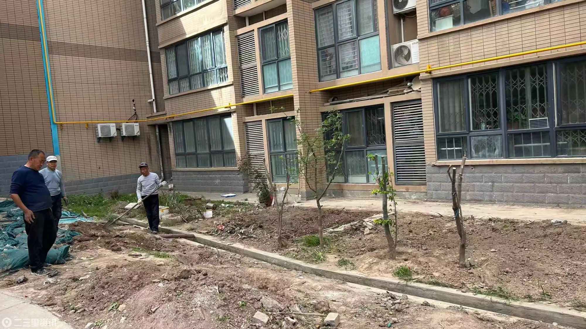 渭城区文汇路街道：践行正确政绩观 换位思考整治公共绿地种菜难题