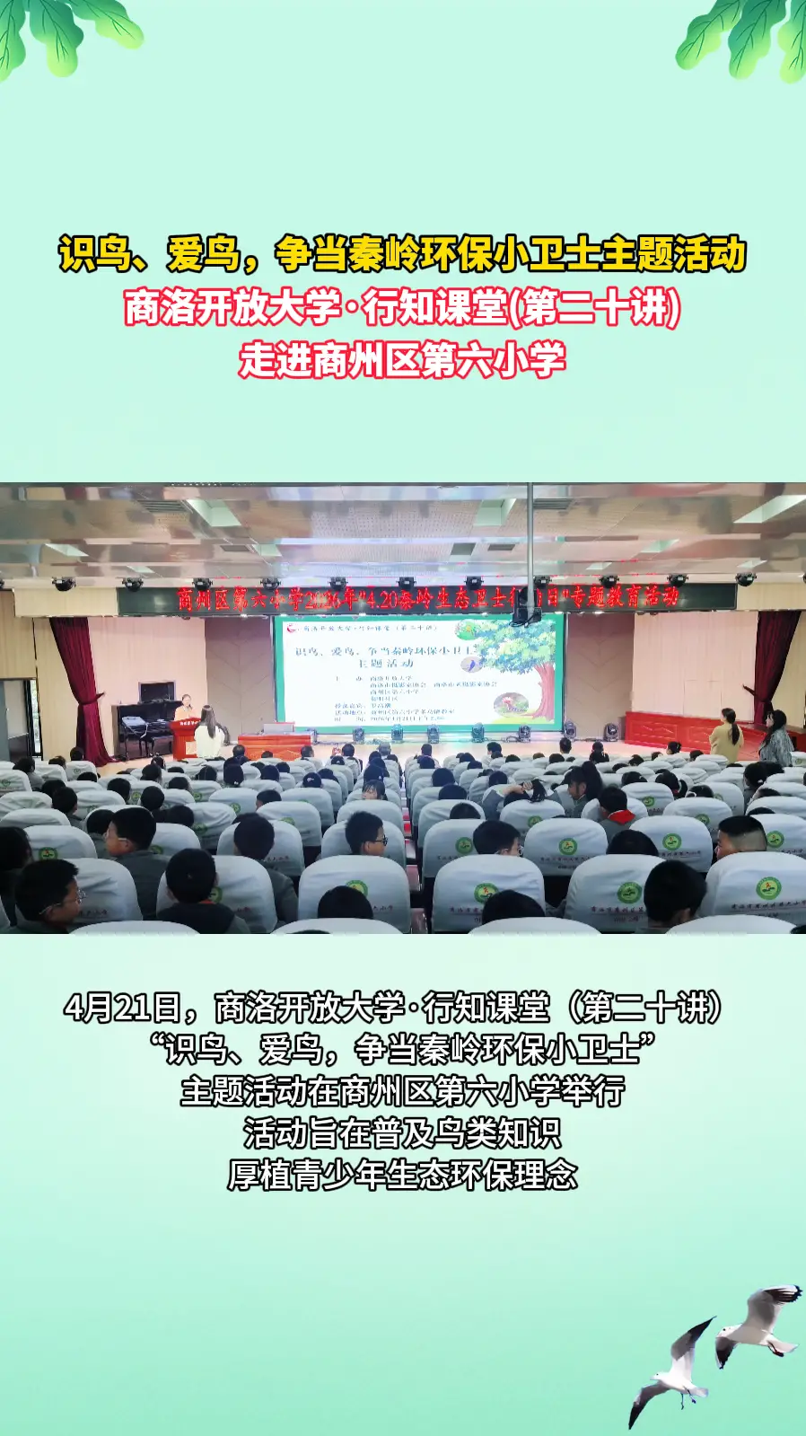 商洛开放大学·行知课堂（第二十讲）——“识鸟、爱鸟，争当秦岭环保小卫士”主题活动