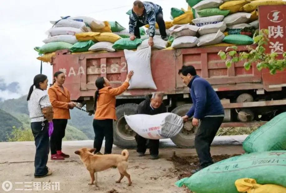 宁强铁锁关镇为村民排忧解难促银杏产业发展
