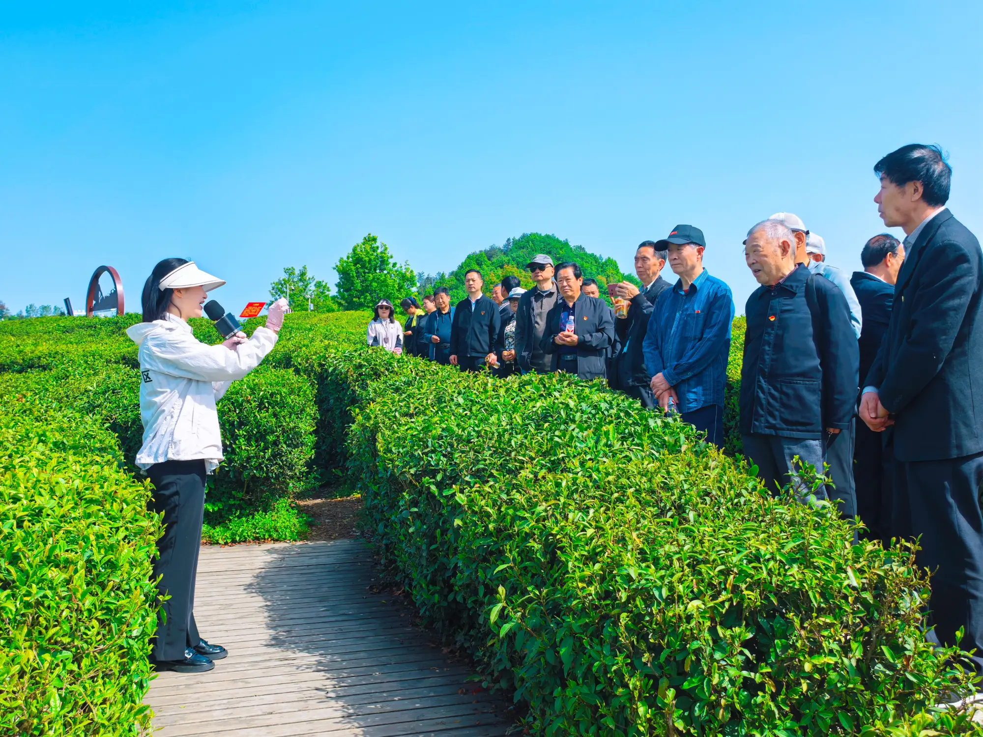 安康市汉滨区卫健局机关离退休支部开展 “循足迹、守初心”主题党日活动