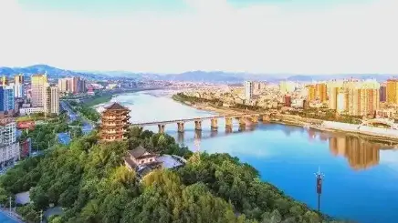 校地企深度融合！西安工程大学百名校友走进安康，共绘纺织服装产业新蓝图