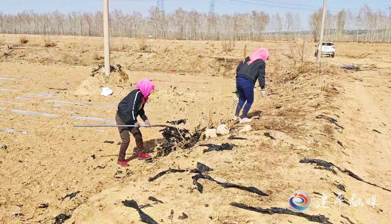 建平县杨树岭乡环境整治再发力