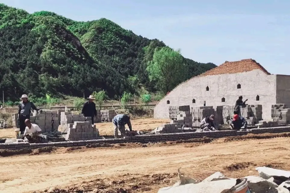 从“卖产品”到“卖品牌” 凌源菌菇全链升级闯全国市场