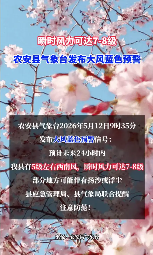 瞬时风力可达7-8级，农安县气象台发布大风蓝色预警