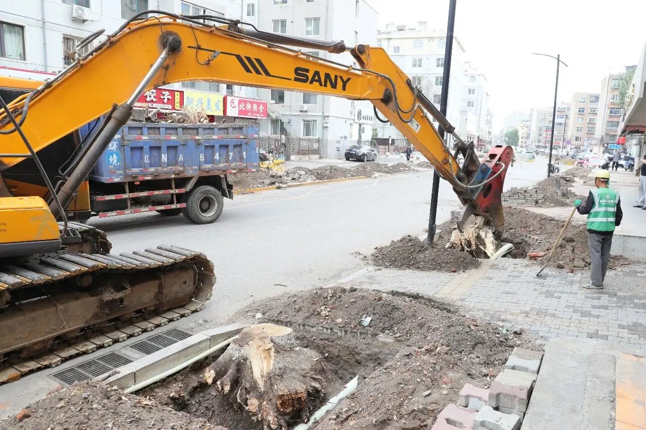 朝阳市中心城区7条街路杨树更新改造工程 你了解多少