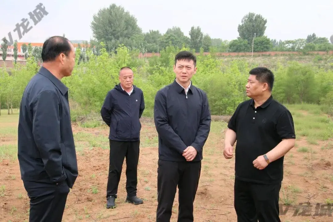 龙城区领导推进中央生态环境保护督察交办群众信访举报问题整改工作