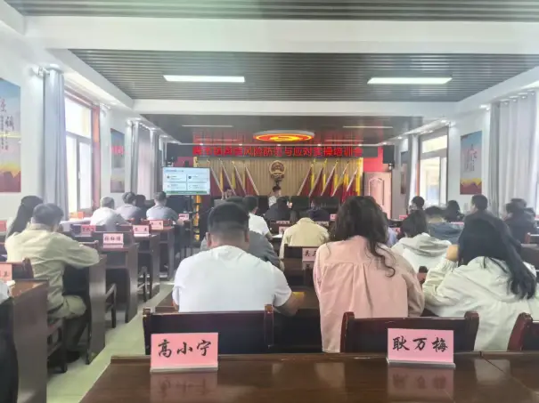 殿市镇：举办舆情风险防范与应对实操培训会