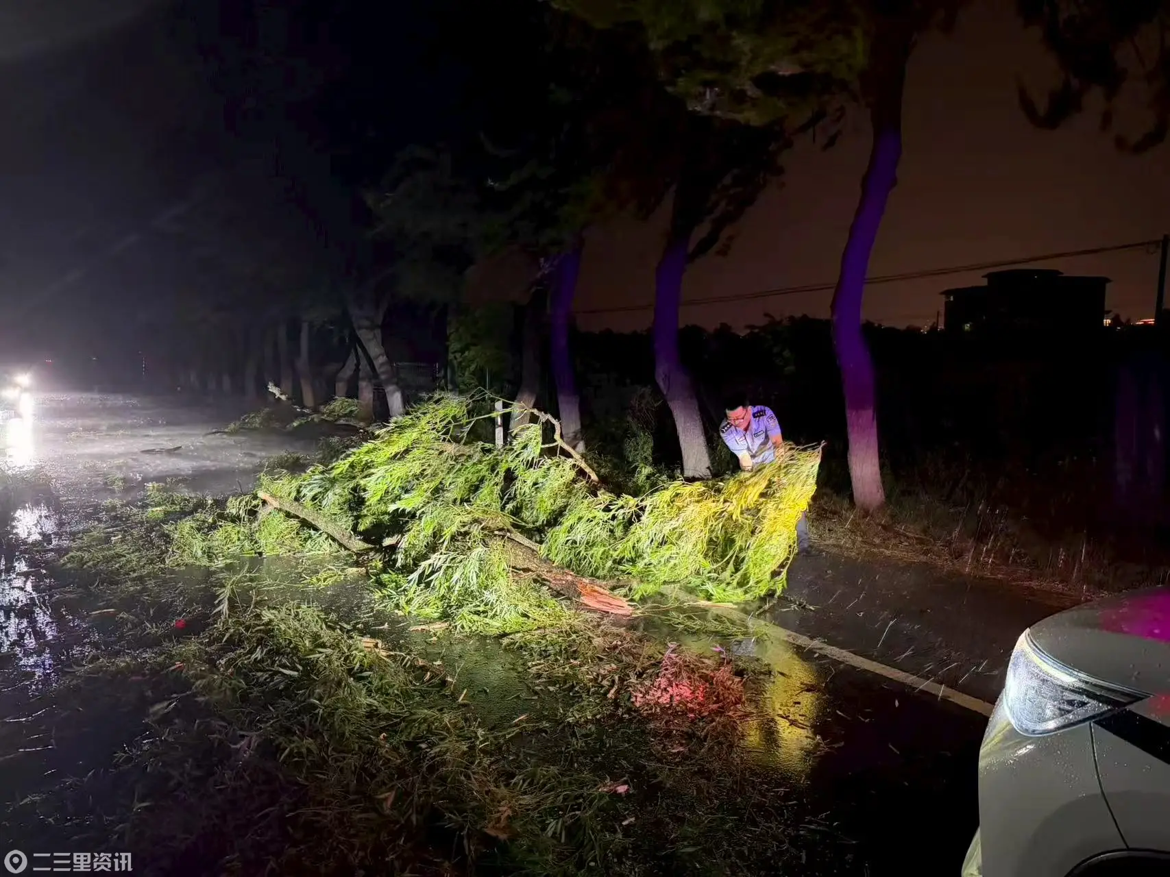 雨夜狂风刮倒行道树阻路 长武警民携手清障保畅通