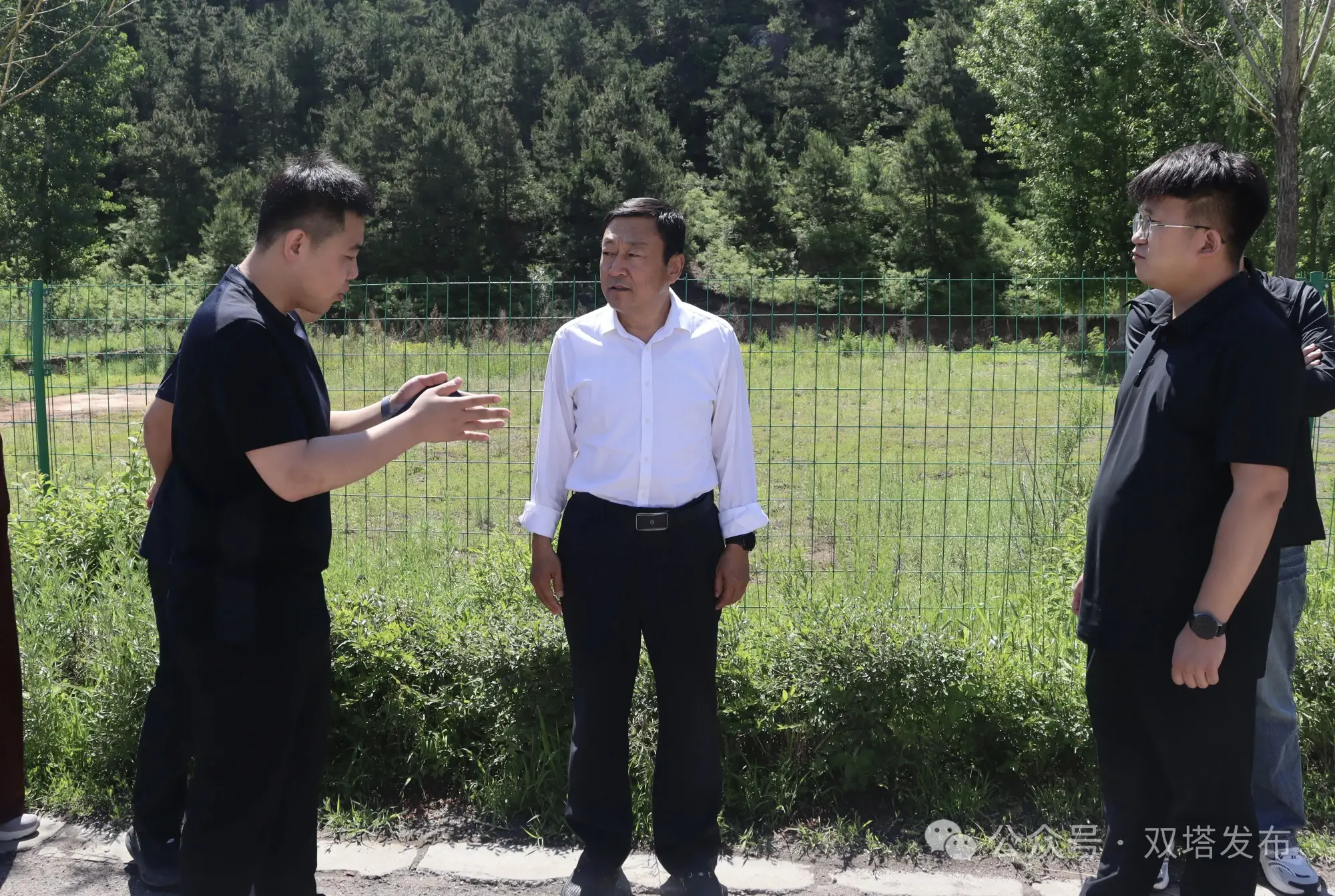 双塔区人大常委会对城乡人居环境整治提升工作进行专题调研