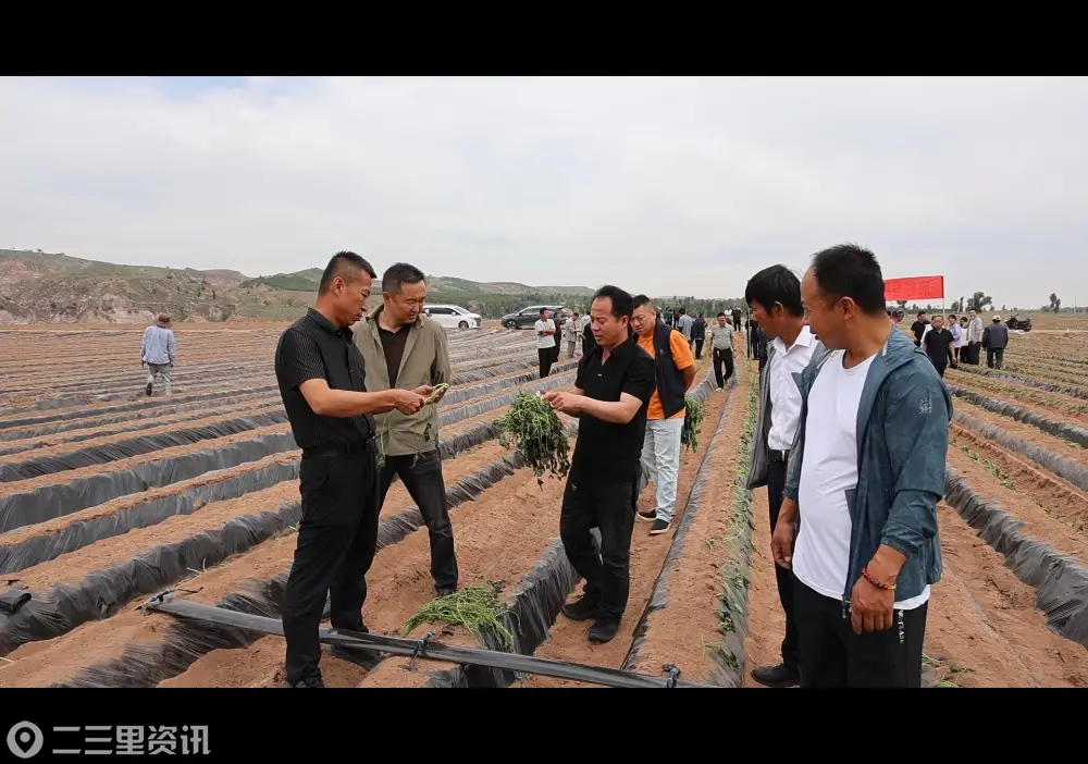深耕特色产业 做活全“链”文章！府谷推进农业产业高质量发展