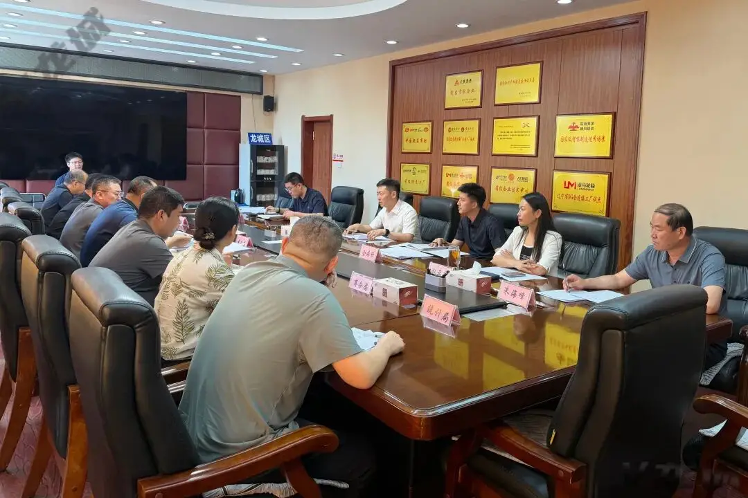 龙城区召开经济运行分析会