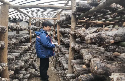 十载深耕 把帮扶情刻进百姓心坎 ——中国联通汉中市分公司驻村工作队扎实开展驻村帮扶工作