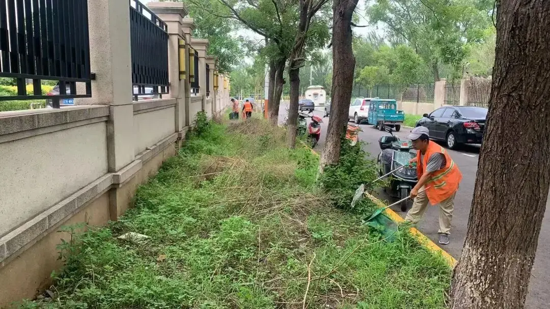 粽叶飘香迎端午，环卫坚守护洁净——朝阳环境集团道路机扫分公司全面开展节前环境整治与假期保障工作