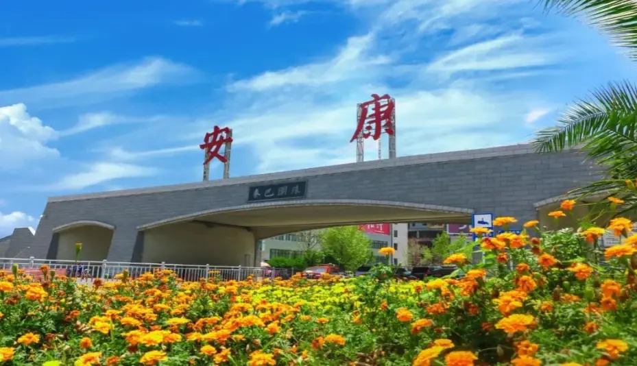 打破公私壁垒 融合协同发展 ——汉滨区医共体总院吸纳汉滨阳光医院共建区域医疗共同体