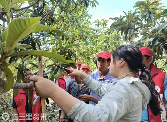 汉中市生态环境局略阳分局邀请农技专家到帮扶村开展技术培训