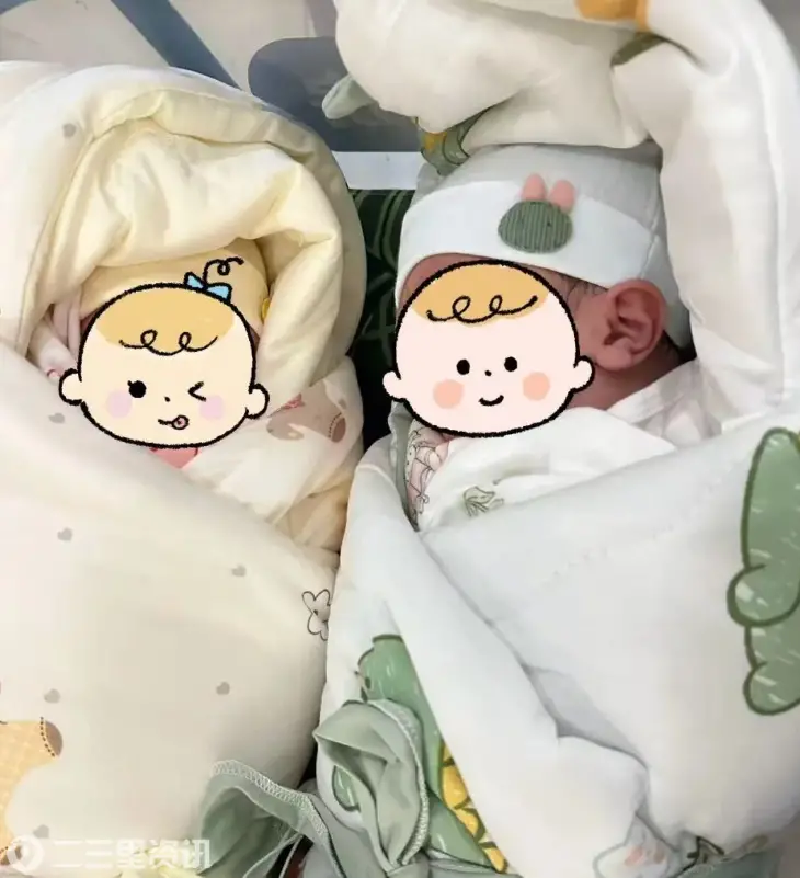 中西医结合助孕圆梦！陕中附院生殖医学中心首例试管龙凤胎顺利分娩