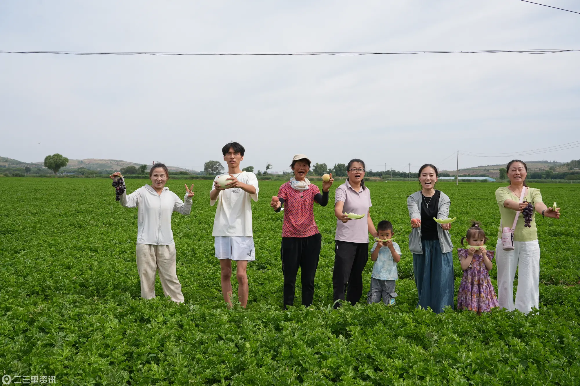 陕西靖边：农旅融合绘新卷  夏日田园入画来