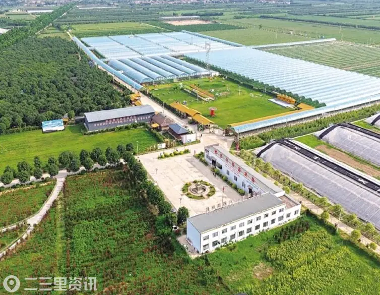 以“大景区”思维做活“小而美”文章 礼泉探索农文旅融合、城乡协同发展新路
