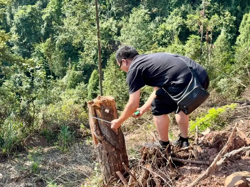 “三下乡”|丈量青山守初心，深耕二酉护林荫