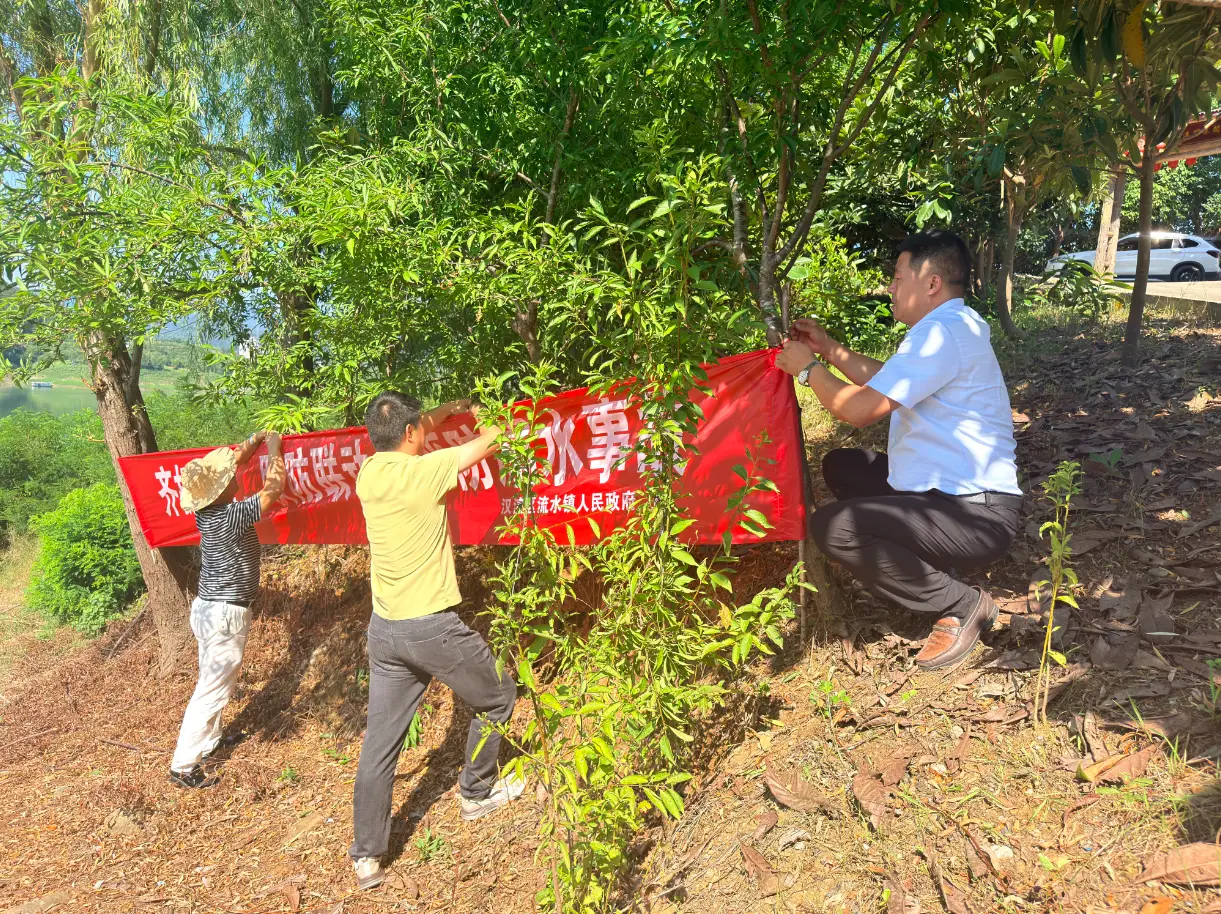 汉滨区流水镇新庄村：巩固“千万工程”示范村创建成果 开展夏季环境集中整治行动