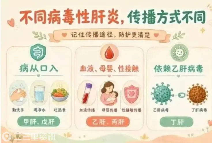 7月28日世界肝炎日｜科学认识病毒性肝炎