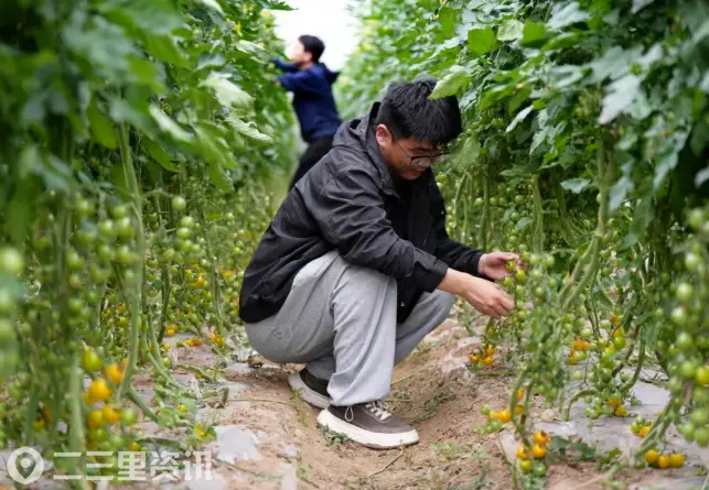 壮大新型农业经营主体，汉台区七里街道家庭农场的增收密码