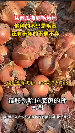 从西瓜摊到毛葱地，他种的不只是毛葱，还有十年的不离不弃