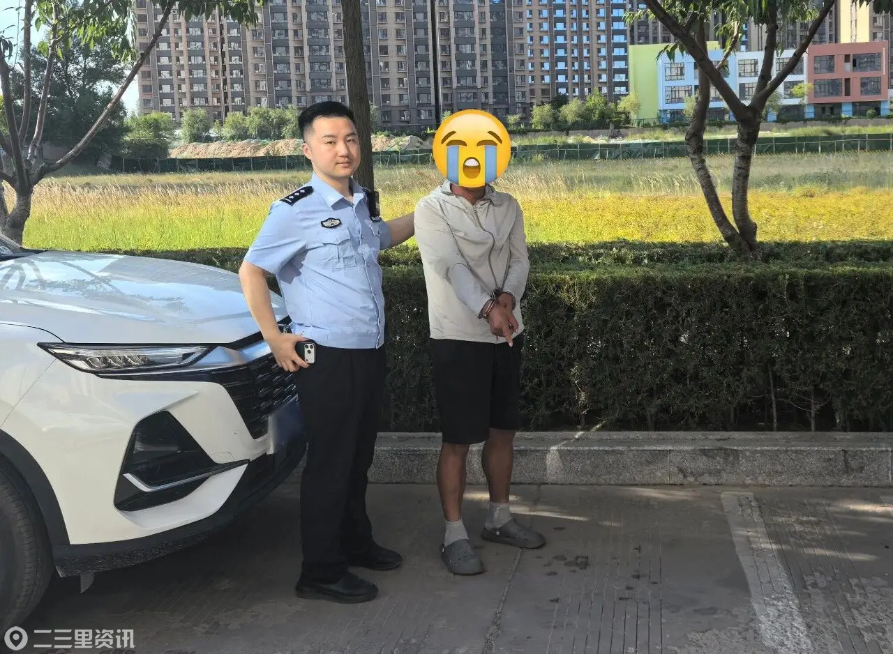 榆阳公安连续破获多起“拉车门”盗窃案