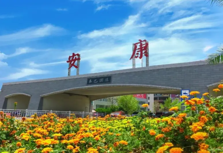 抓获7人！汉滨公安追逃攻坚再添新战果