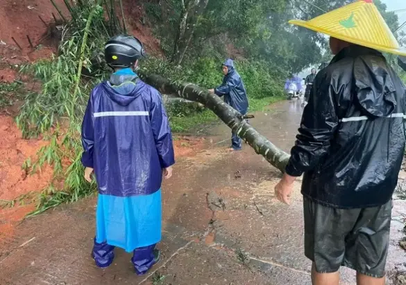 汛情挡不住奔赴，风雨里的国寿守护答卷