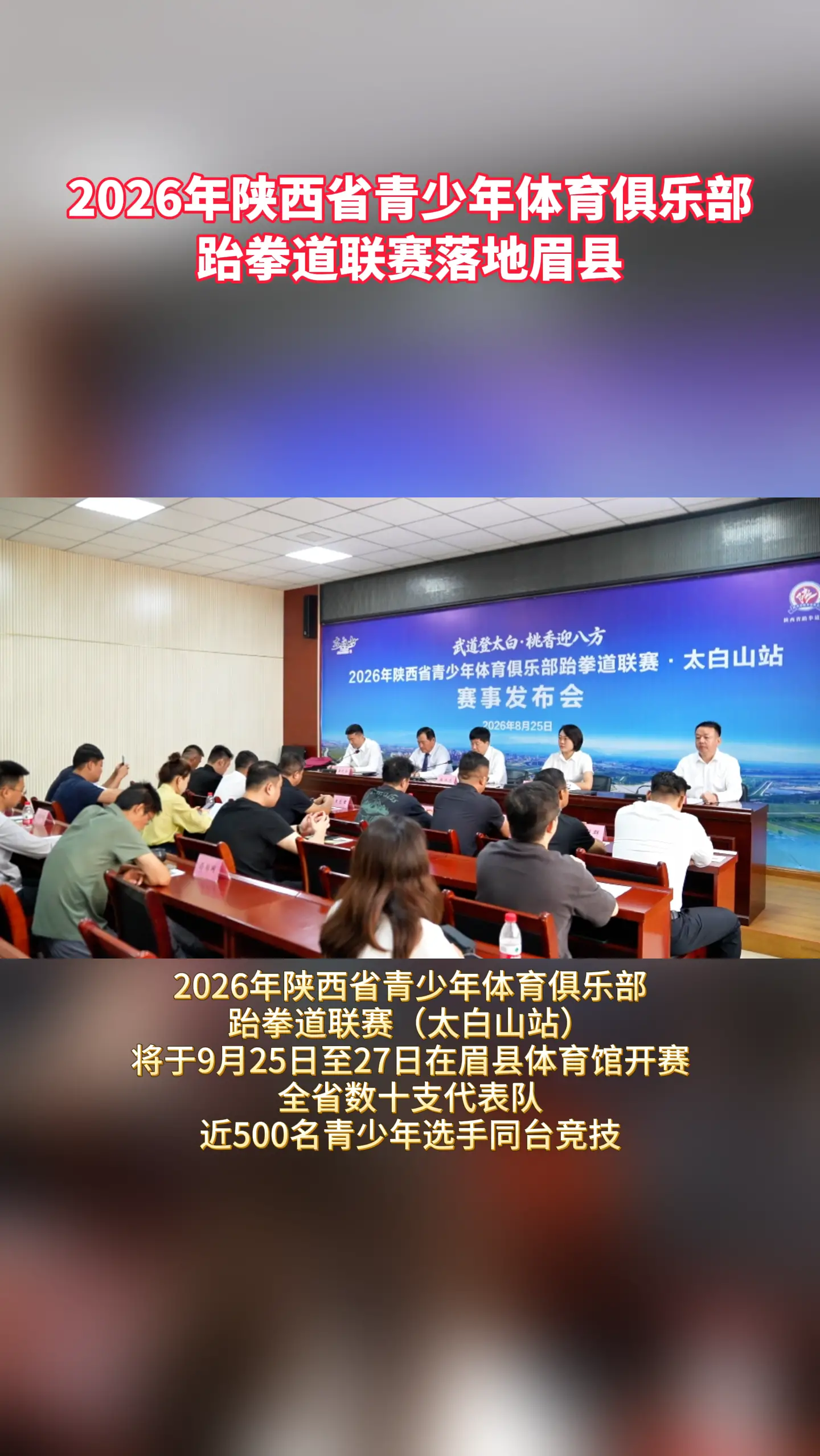 2026年陕西省青少年体育俱乐部跆拳道联赛落地眉县