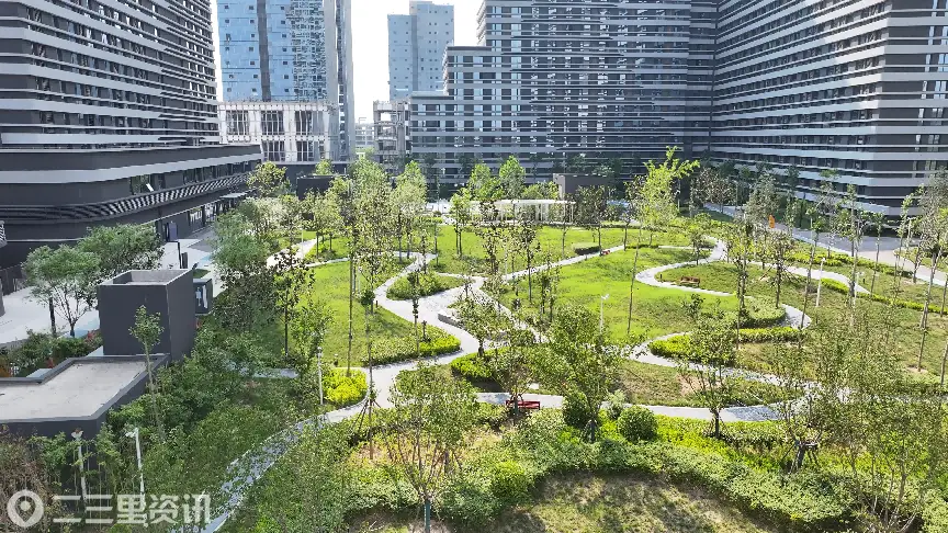 星睿居保租房选房进行时 首批住户正在签约入住