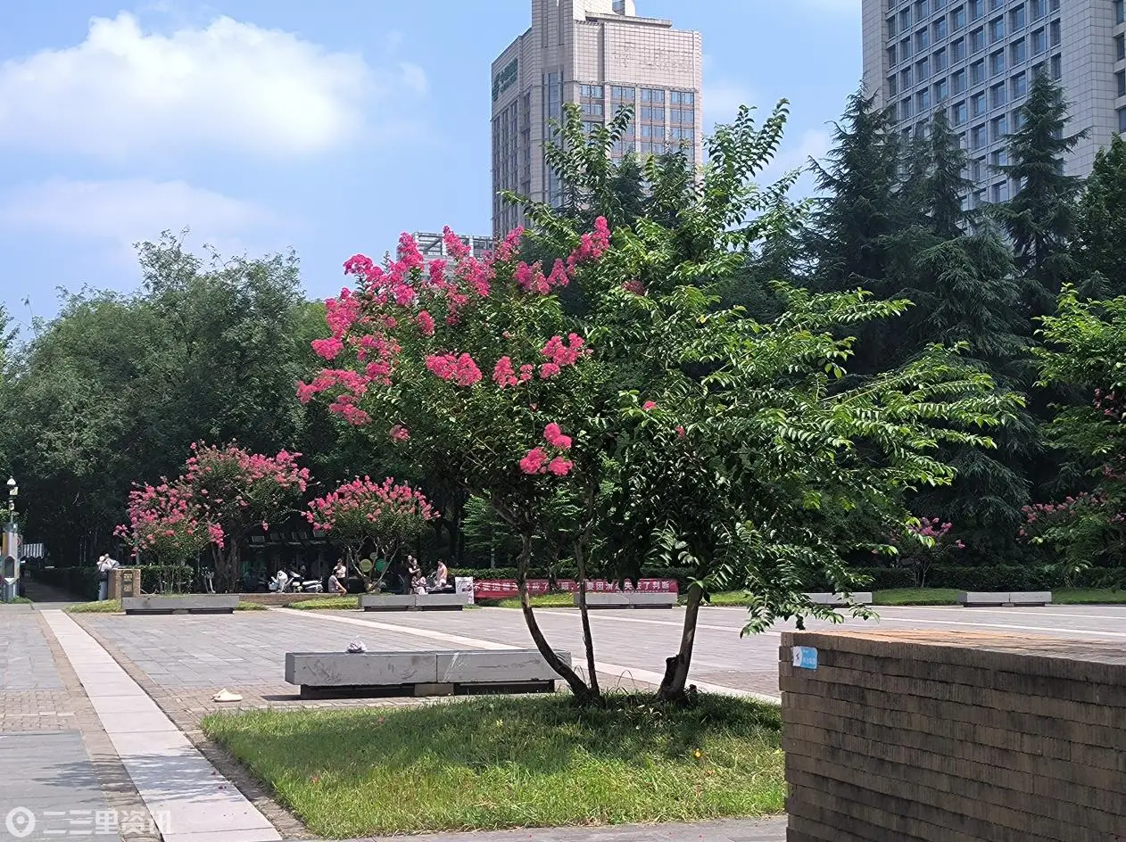 微信图片_20260819093047_51_46