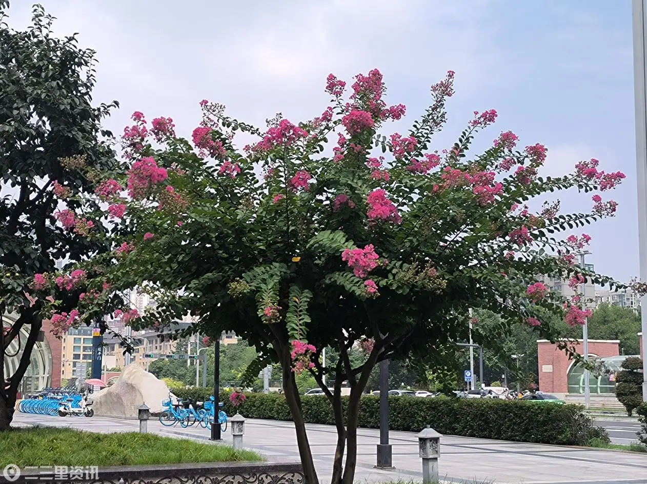微信图片_20260819093150_68_46