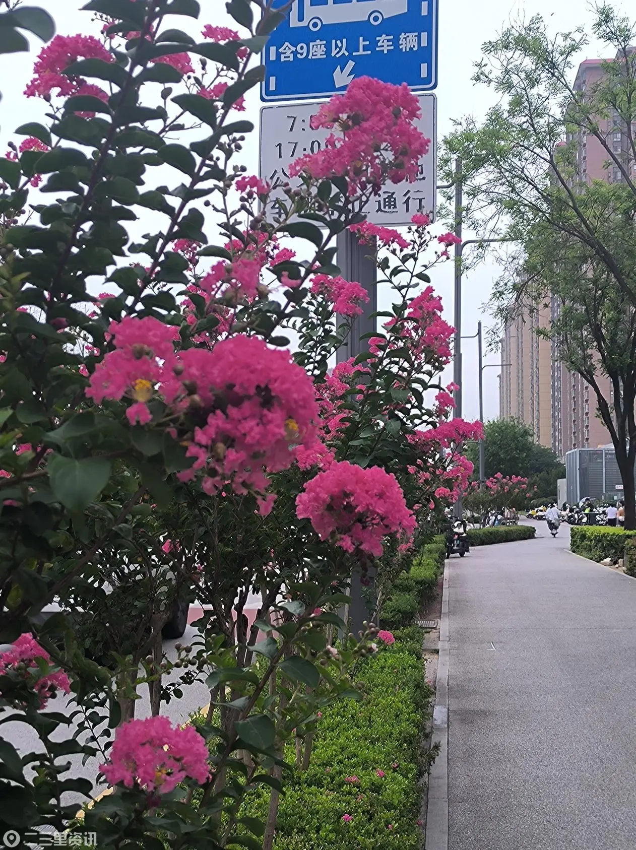 微信图片_20260819093106_56_46