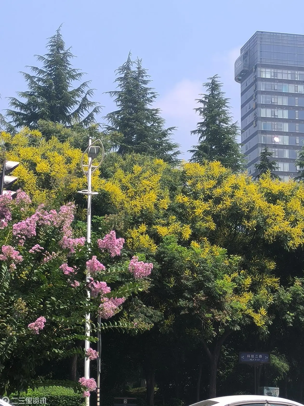 微信图片_20260824092510_82_46