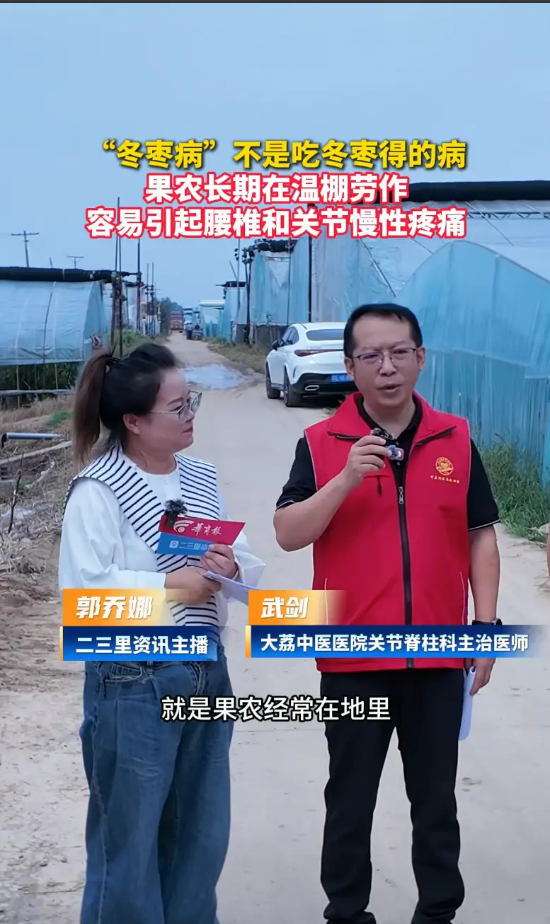 枣农易患“冬枣病” 多由大棚劳作劳损引发
