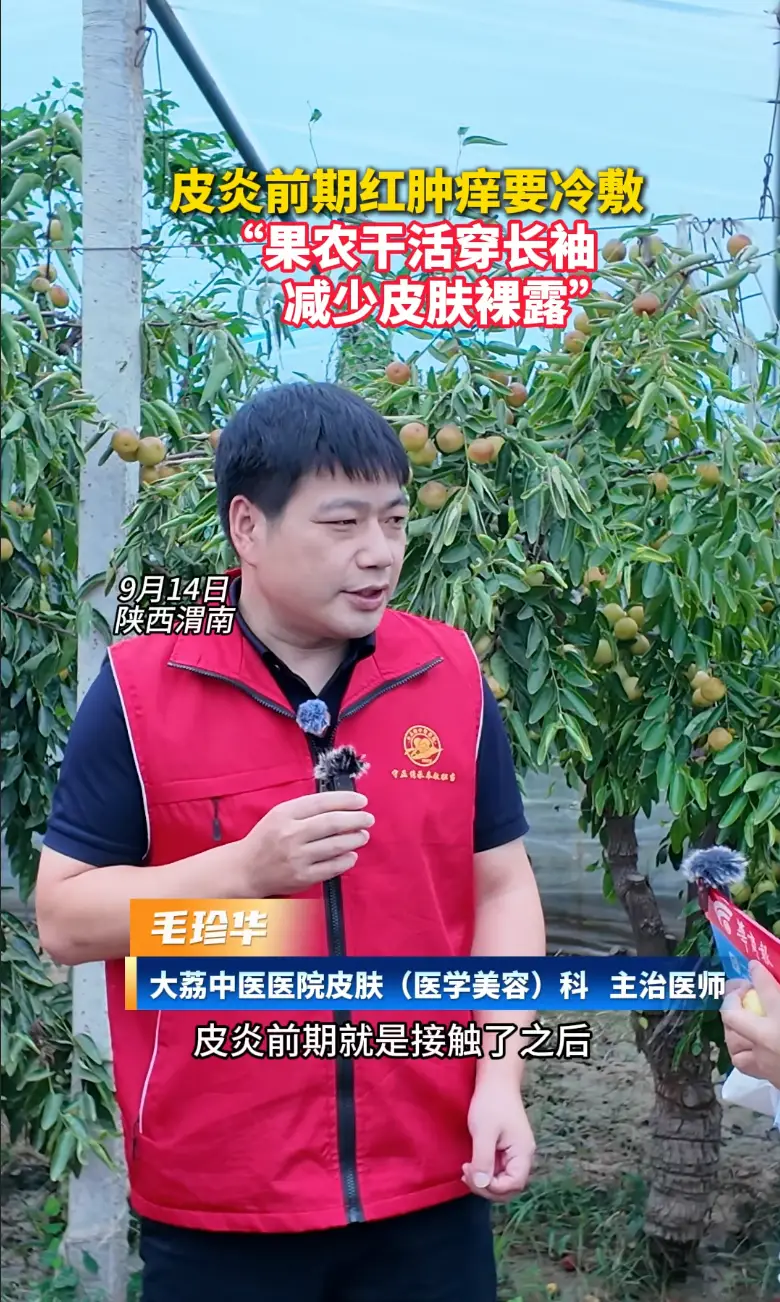 枣农接触枣叶易皮肤过敏 大荔县中医院医生提醒做好防护