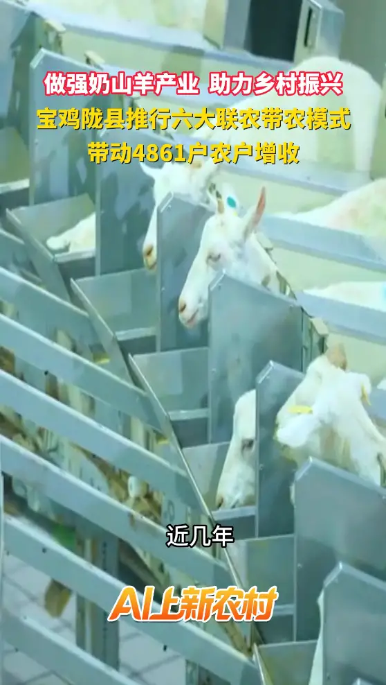 做强奶山羊产业 助力乡村振兴 宝鸡陇县推行六大联农带农模式带动4861户农户增收