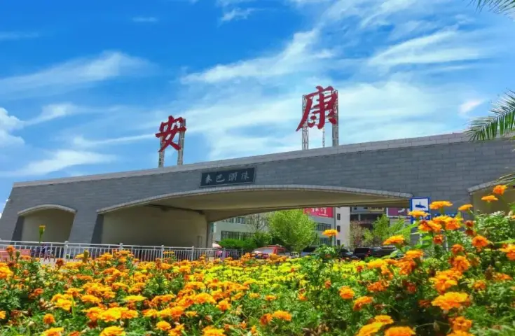 国网岚皋县供电公司：金秋保电护丰收 电暖乡村庆丰年