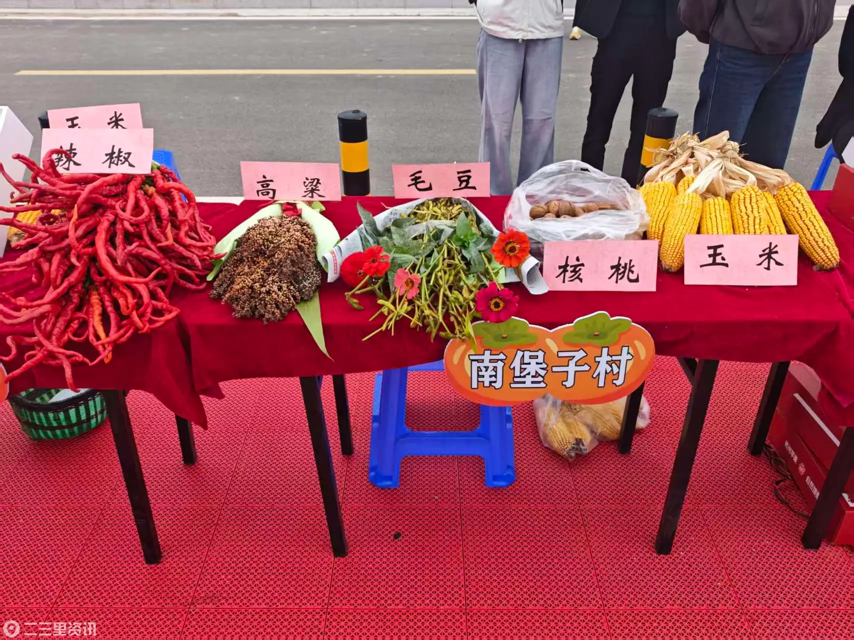 彬州市义门镇：品柿乡秋景  赴田园盛会