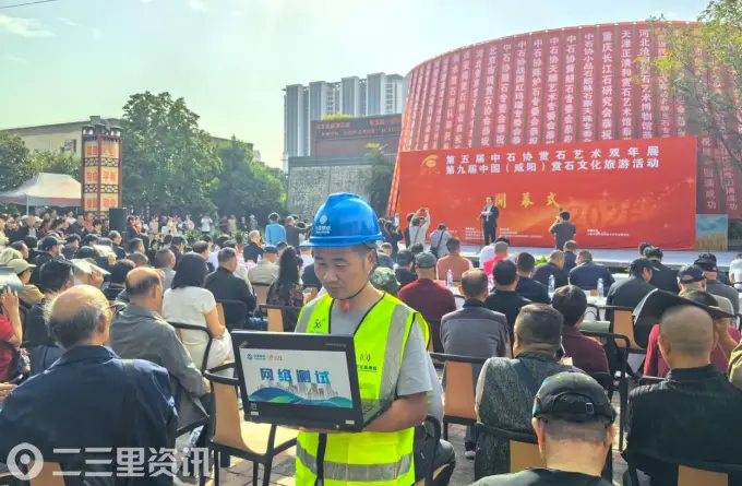 一石观天地 网络护石缘 咸阳移动优质网络护航赏石艺术双年展