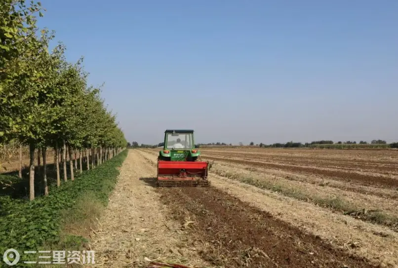 秦都区：秋收秋播压茬推进 秸秆利用变废为宝