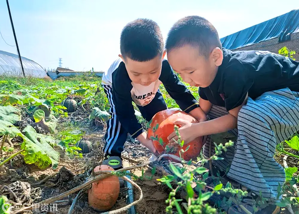 把课堂搬进田野 让孩子们在泥土里读懂秋天