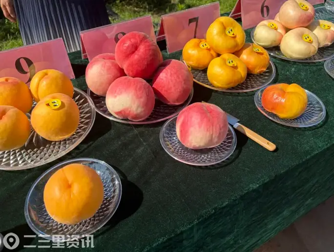 礼泉御果，四季尝鲜 ——一个果业大县的“自然成礼”之路