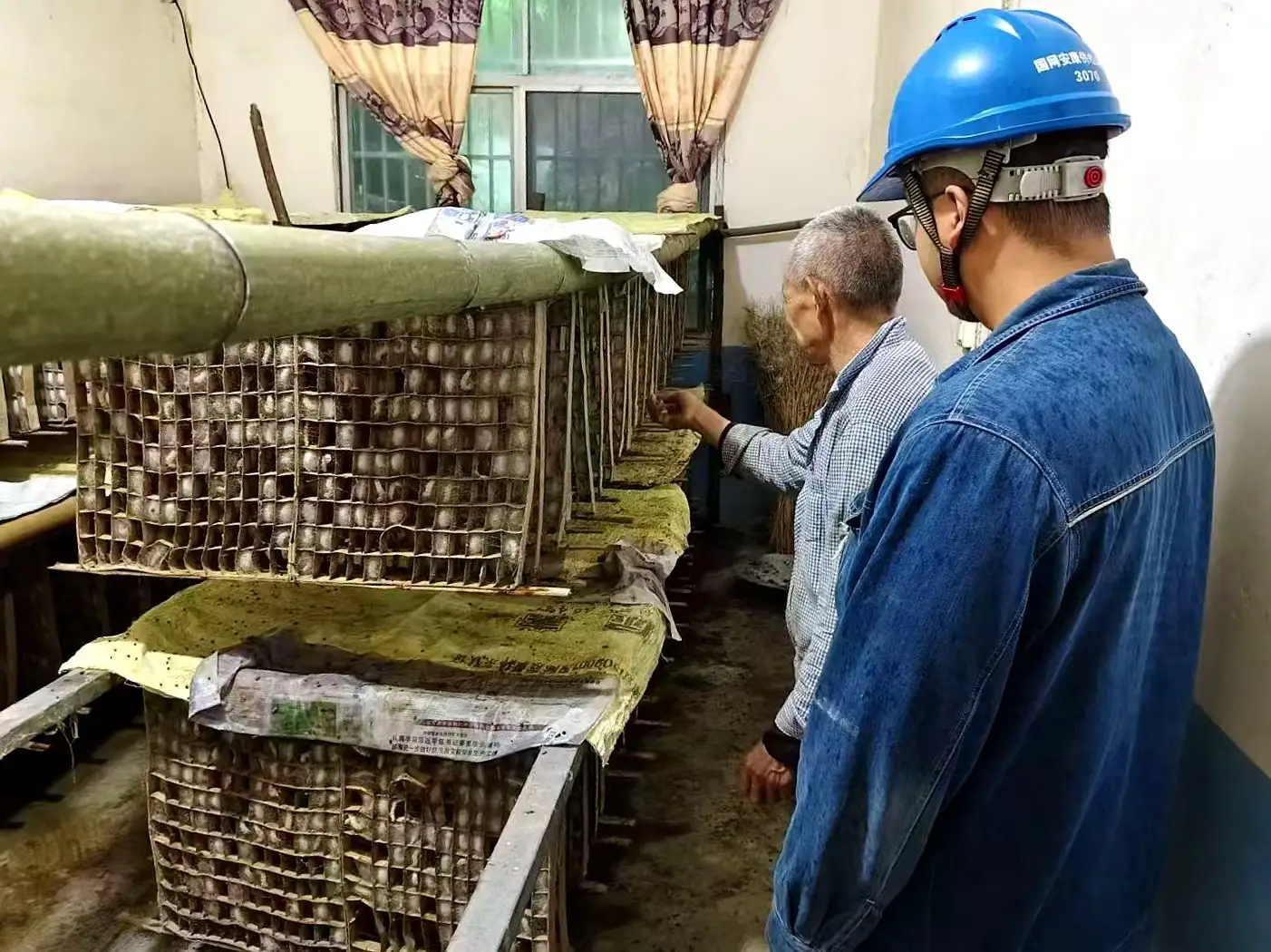 国网岚皋县供电公司：电力护航蚕桑产业 暖心服务托起农户致富梦