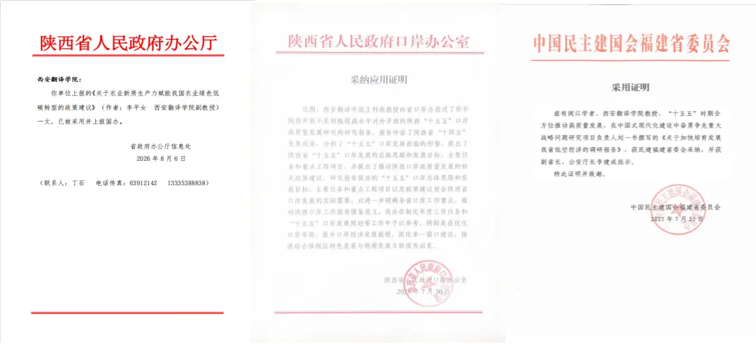 图片11
