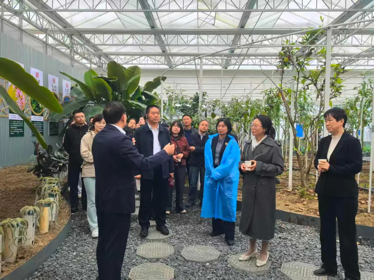 安康市文明乡风建设工作现场观摩活动走进建民街道忠诚村