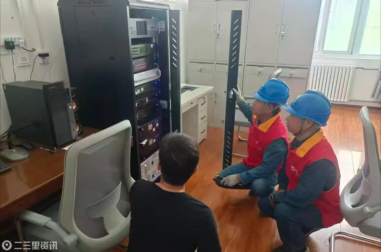 国网淳化县供电公司：志愿服务进乡村 贴心服务惠民生