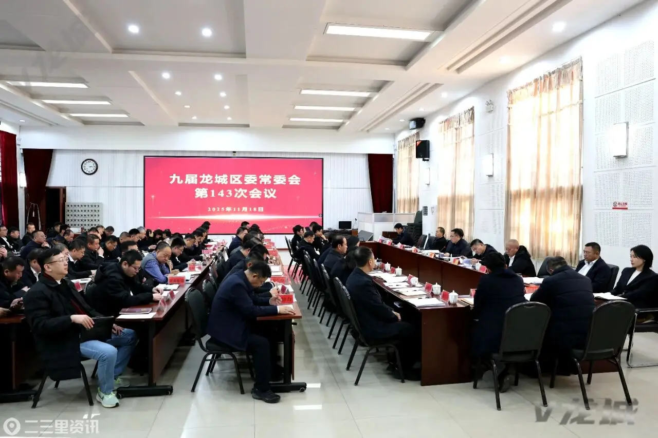 龙城区委常委会召开会议